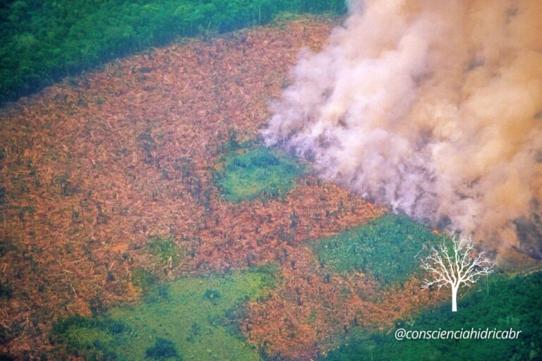 entenda-a-seca-na-amazonia